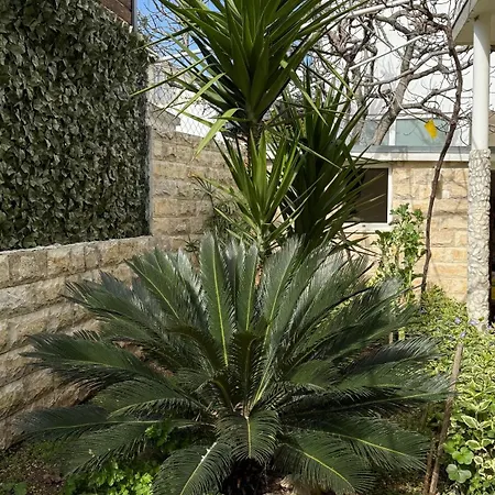 Petar - Parking And Seaview Daire Trogir