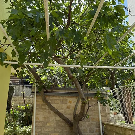 شقة Petar - Parking And Seaview تروغير