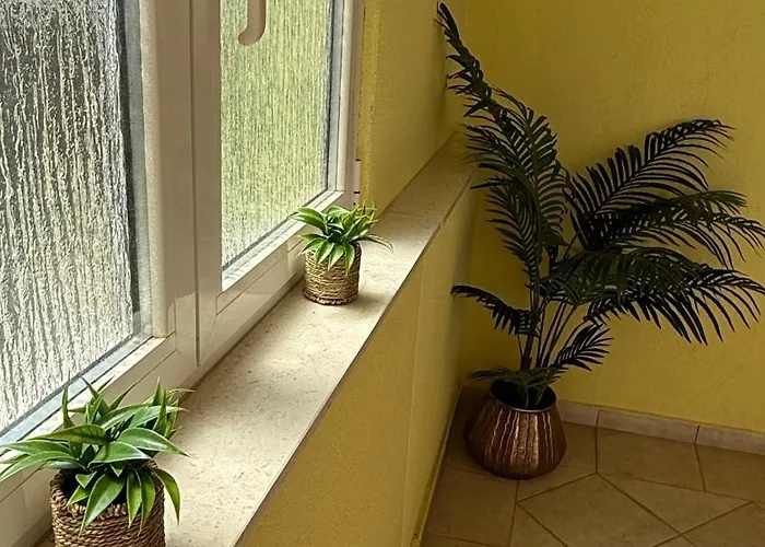 Apartment Petar - Parking And Seaview *