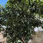 Petar - Parking And Seaview Appartamento