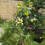 Appartamento Petar - Parking And Seaview Traù