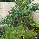 Petar - Parking And Seaview Appartamento Traù