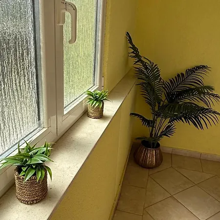 Apartment Petar - Parking And Seaview *
