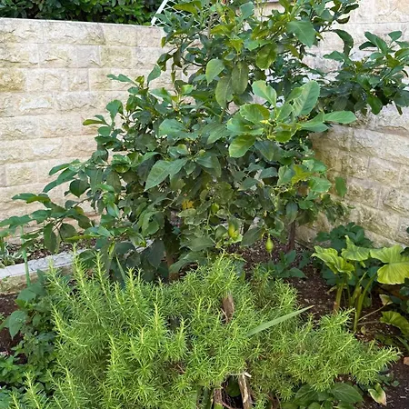 Petar - Parking And Seaview דירה טרוגיר